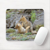 Grau-Fox-Paar (Lycalopex griseus) 2 Mousepad (Mit Mouse)