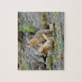 Grau-Fox-Paar (Lycalopex griseus) 2 Puzzle (Vertikal)