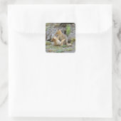 Grau-Fox-Paar (Lycalopex griseus) 2 Quadratischer Aufkleber (Tasche)
