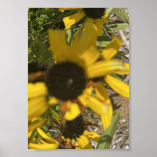 Grau für einen Tag Gelber Blumenprint Poster