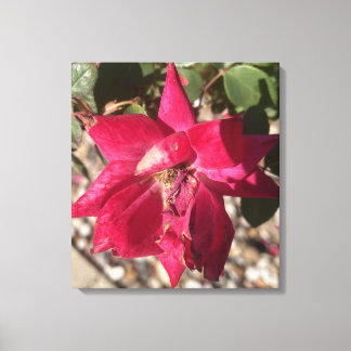 grau für heute Floral Roter Druck Leinwanddruck