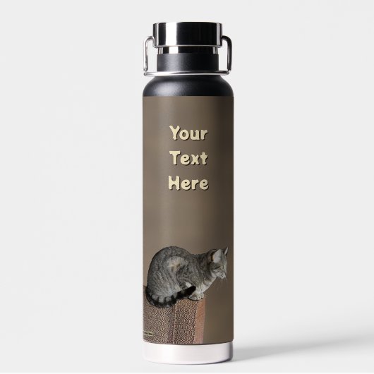 Grau getigerte Katze Trinkflasche (Rückseite)