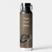 Grau getigerte Katze Trinkflasche (Vorne)