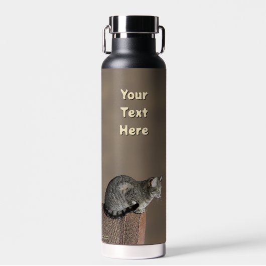 Grau getigerte Katze Trinkflasche (Vorne)