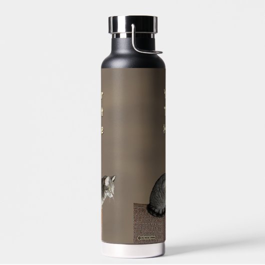 Grau getigerte Katze Trinkflasche (Links)