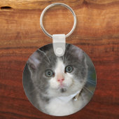 Grau/Grau/Silber und White Kitten Schlüsselanhänge Schlüsselanhänger (Vorderseite)