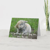 Grau Hair Funny Age Bunny Birthday