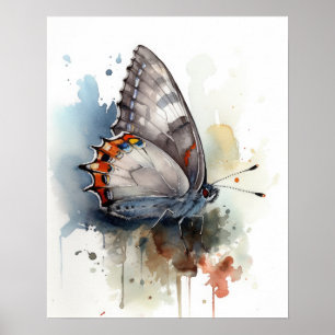 Grau Hairstreak Butterfly Art Print Poster