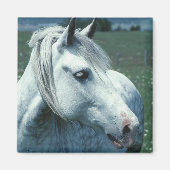 Grau in bewässerter Weide Magnet (Vorne)