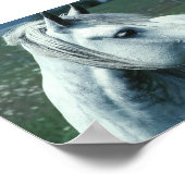 Grau in bewässerter Weide Poster (Ecke)