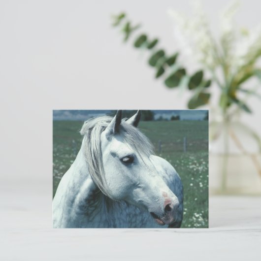 Grau in bewässerter Weide Postkarte (Stehend Vorderseite)