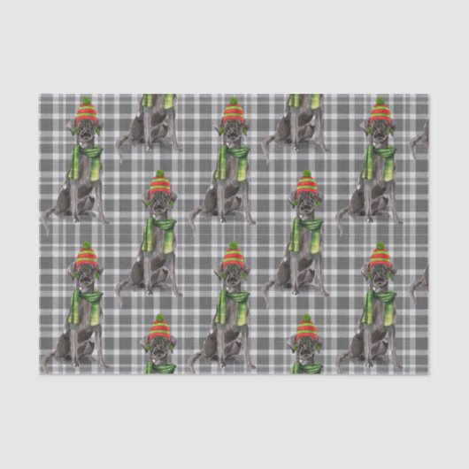 Grau Kariert mit einem Black Lab Dog Weihnachten Seidenpapier (Vorderseite)