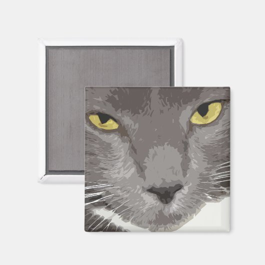 Grau-Katzengesicht Magnet (Vorderseite/Rückseite)