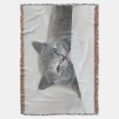 Grau Kitten Licking Snow Decke (Vorderseite Vertikal)