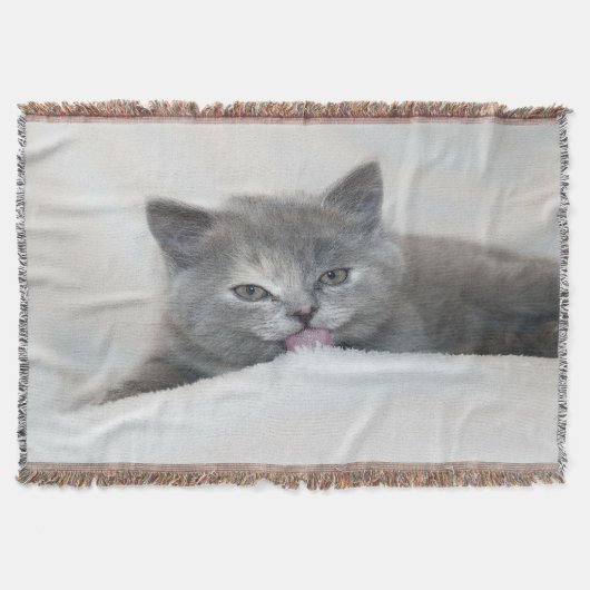 Grau Kitten Licking Snow Decke (Vorderseite)