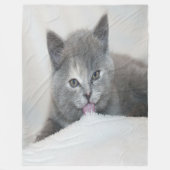 Grau Kitten Licking Snow Fleecedecke (Vorderseite)
