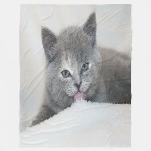 Grau Kitten Licking Snow Fleecedecke (Vorderseite)