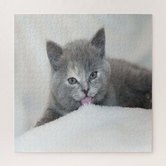 Grau Kitten Licking Snow Puzzle (Vertikal)