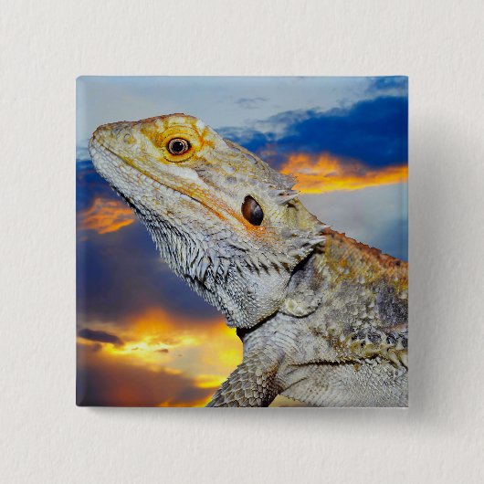 Grau Lizard bei Sonnenuntergang Button (Vorderseite)