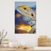 Grau Lizard bei Sonnenuntergang Poster (Küche)