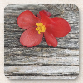 Grau mit roter Blume Getränkeuntersetzer