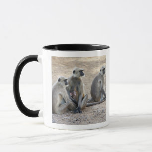 Grau oder Common oder Hanuman Langur Tasse