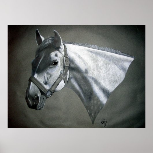 Grau on Gray Equine Art Poster (Vorne)