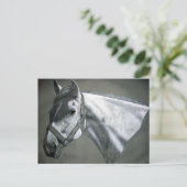 Grau on Gray Equine Art Postkarte (Stehend Vorderseite)
