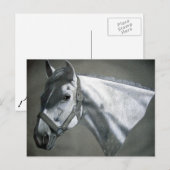 Grau on Gray Equine Art Postkarte (Vorne/Hinten)