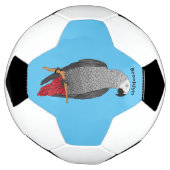 Grau-Papagei-Cartoon Fußball (Gedreht)