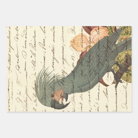 Grau Papagei mit Blume und Cursive Geschenkpapier Set (Vorderseite 3)