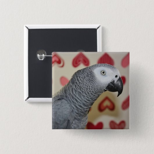 Grau-Papageien-Knopf-Button des Valentines Button (Vorne & Hinten)