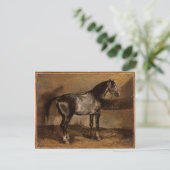 Grau-Pferde-Rack von Theodore Gericault Postkarte (Stehend Vorderseite)