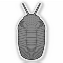 Grau Phacops Trilobit - prähistorisches TierVinyl Aufkleber