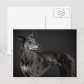 Grau Postkarte (Vorne/Hinten)