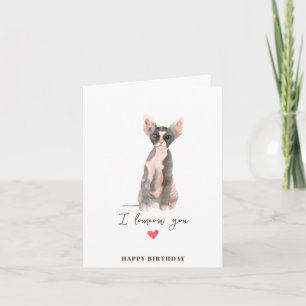 Grau Rosa Sphynx-Katze Herz Welpe Haustiere Geburt Karte