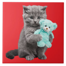Grau Tabby und Teddy Bear Dekorative Tile Fliese