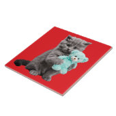 Grau Tabby und Teddy Bear Dekorative Tile Fliese (Seite)