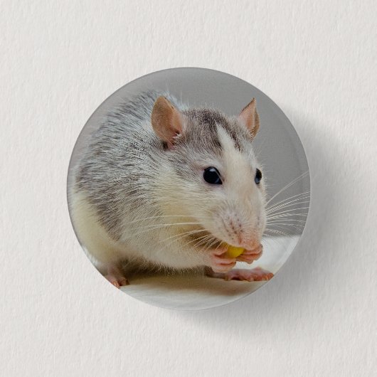 Grau und Weiße Ratte Button (Vorderseite)