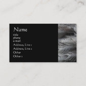 Grau versieht Visitenkarte mit Federn (Rückseite)