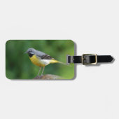 Grau Wagtail - Vogel Gepäckanhänger (Vorderseite horizontal)