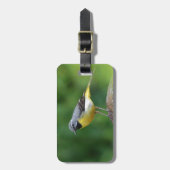 Grau Wagtail - Vogel Gepäckanhänger (Vorderseite vertikal)