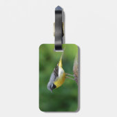 Grau Wagtail - Vogel Gepäckanhänger (Rückseite vertikal)