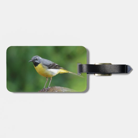Grau Wagtail - Vogel Gepäckanhänger (Rückseite horizontal)