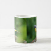 Grau Wagtail - Vogel Kaffeetasse (Mittel)