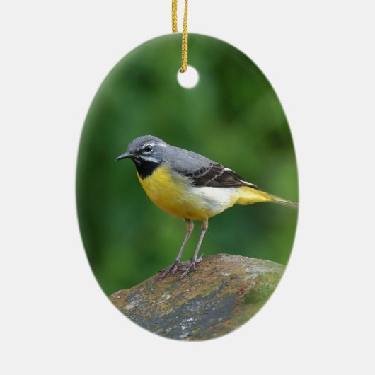 Grau Wagtail - Vogel Keramik Ornament (Hinten)
