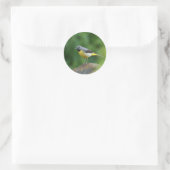 Grau Wagtail - Vogel Runder Aufkleber (Tasche)