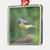 Grau Wagtail - Vogel Silbernes Ornament (Links)