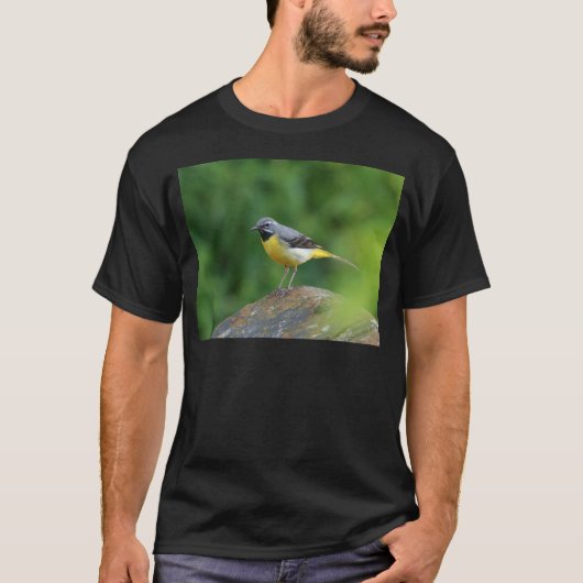 Grau Wagtail - Vogel T-Shirt (Vorderseite)