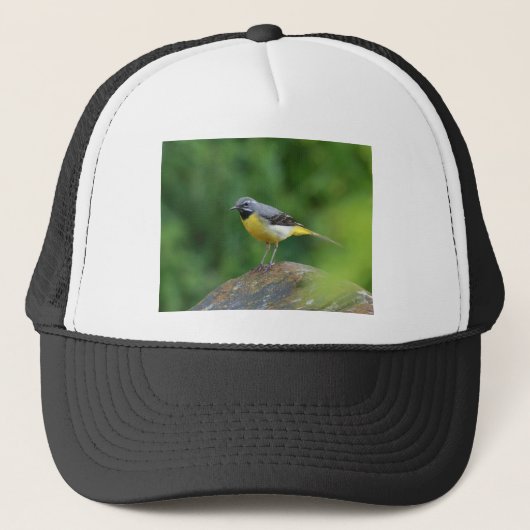 Grau Wagtail - Vogel Truckerkappe (Vorderseite)